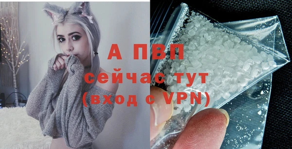 гашик Богородск