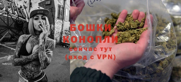гашик Богородск