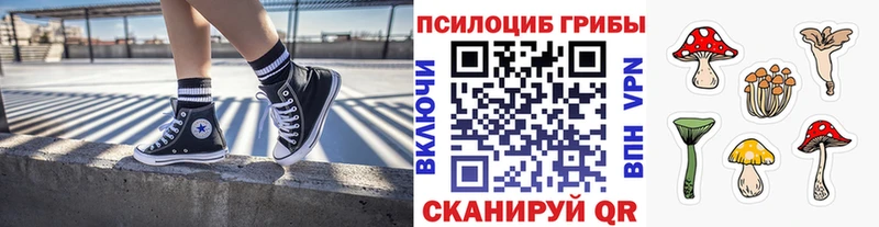 кракен вход  Сковородино  Псилоцибиновые грибы ЛСД 